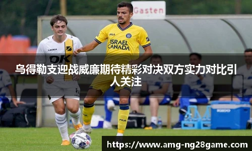 NG南宫28